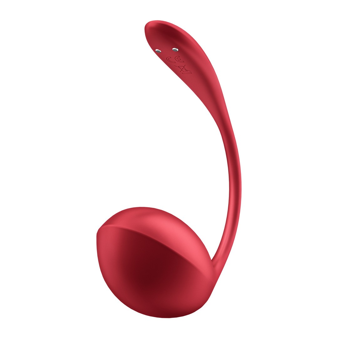 HUEVO VIBRADOR CON APLICACIÓN SHINY PETAL CONNECT APP ROJO SATISFYER - Imagen 4