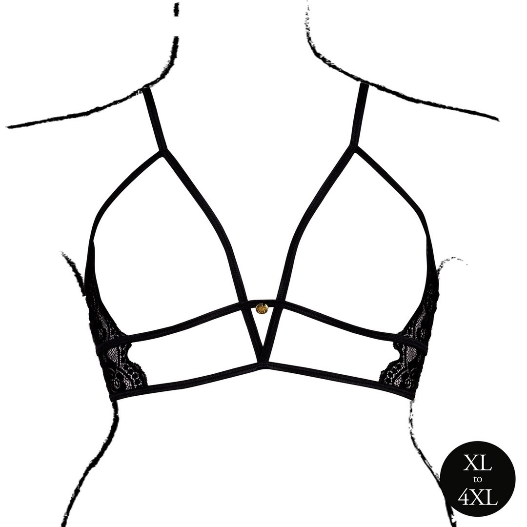 SUJETADOR TRIANGLE CON ENCAJE NEGRO TALLA QUEEN LE DÉSIR - Imagen 4